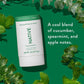 Native Solid Deodorant for Men; Women Eucalyptus; Mint Aluminum; Plastic Free 2.65oz - Imperfect Container