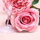 Love Beauty and Planet Murumuru Butter & Rose Shampoo For Color Treated Hair 13.5 fl oz - New