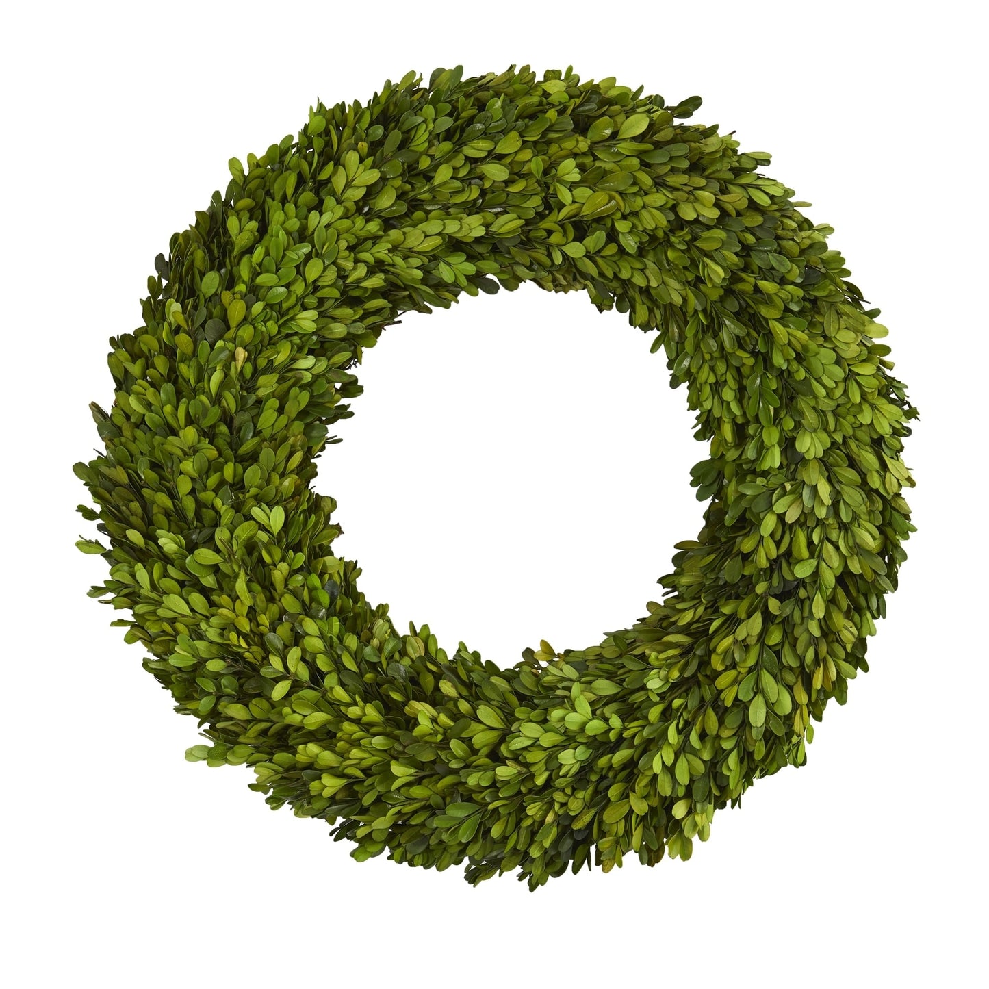 24 Preserved Boxwood Wreath
