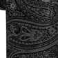 Ryan Seacrest Distinction Men's Gardenia Paisley Slim Silk Tie Black Regular