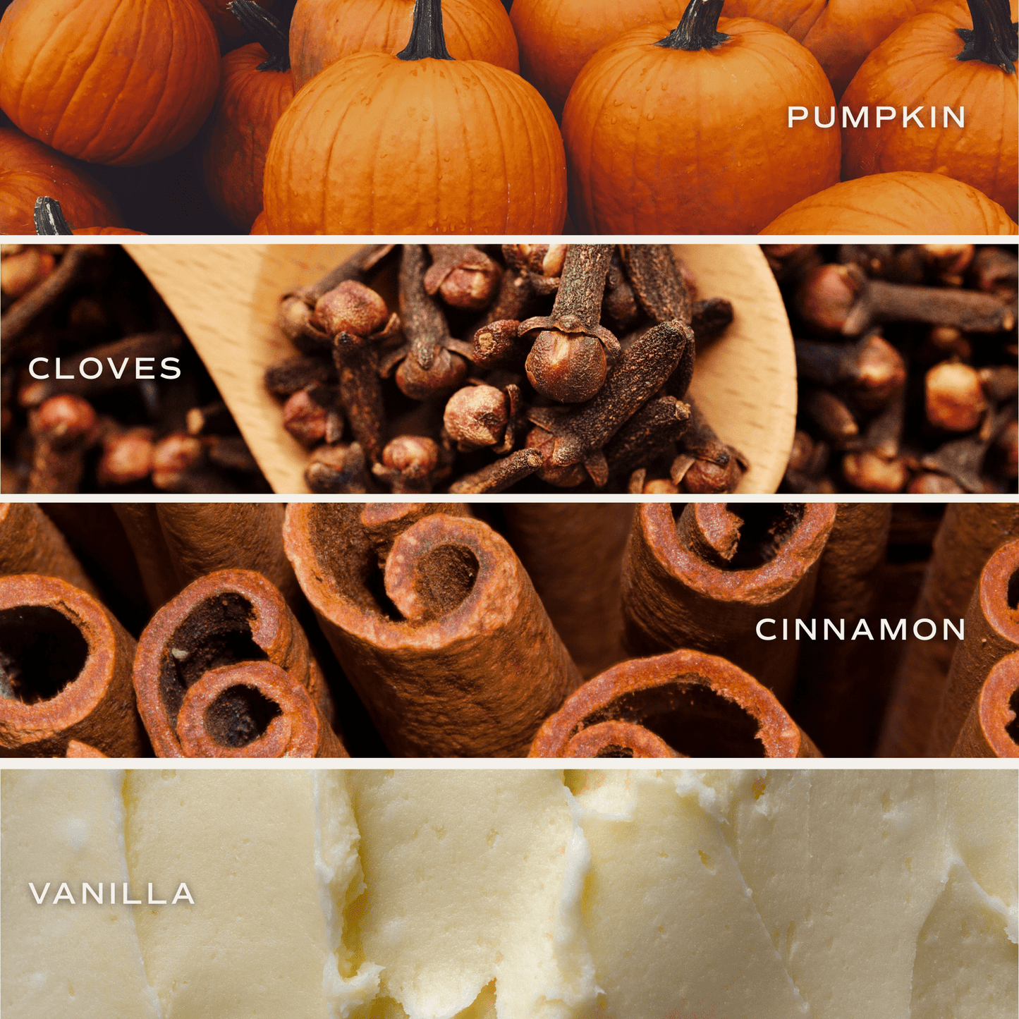Pumpkin Spice Soy Candle | 9oz. Amber Jar
