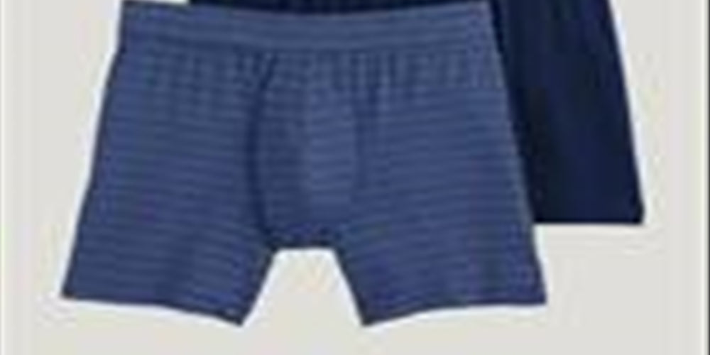 Jockey Men's 2 Pack Modal Everyday Boxer Briefs Blue Size Medium