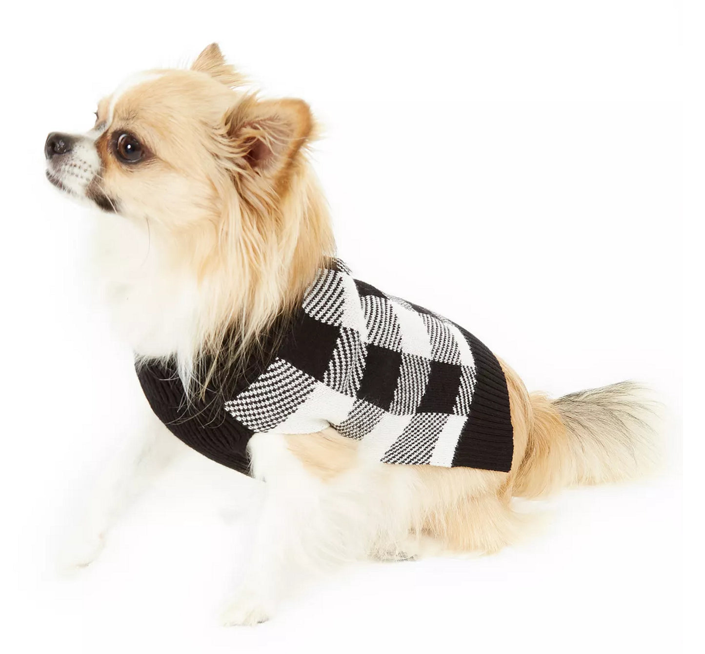 Charter Club Women's Check Print Dog Family Sweater White Size Small