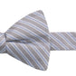 Ryan Seacrest Distinction Men's Juniper Stripe Bow Tie Blue Size One Size