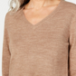 Karen Scott Women's V Neck Sweater Brown Size Large