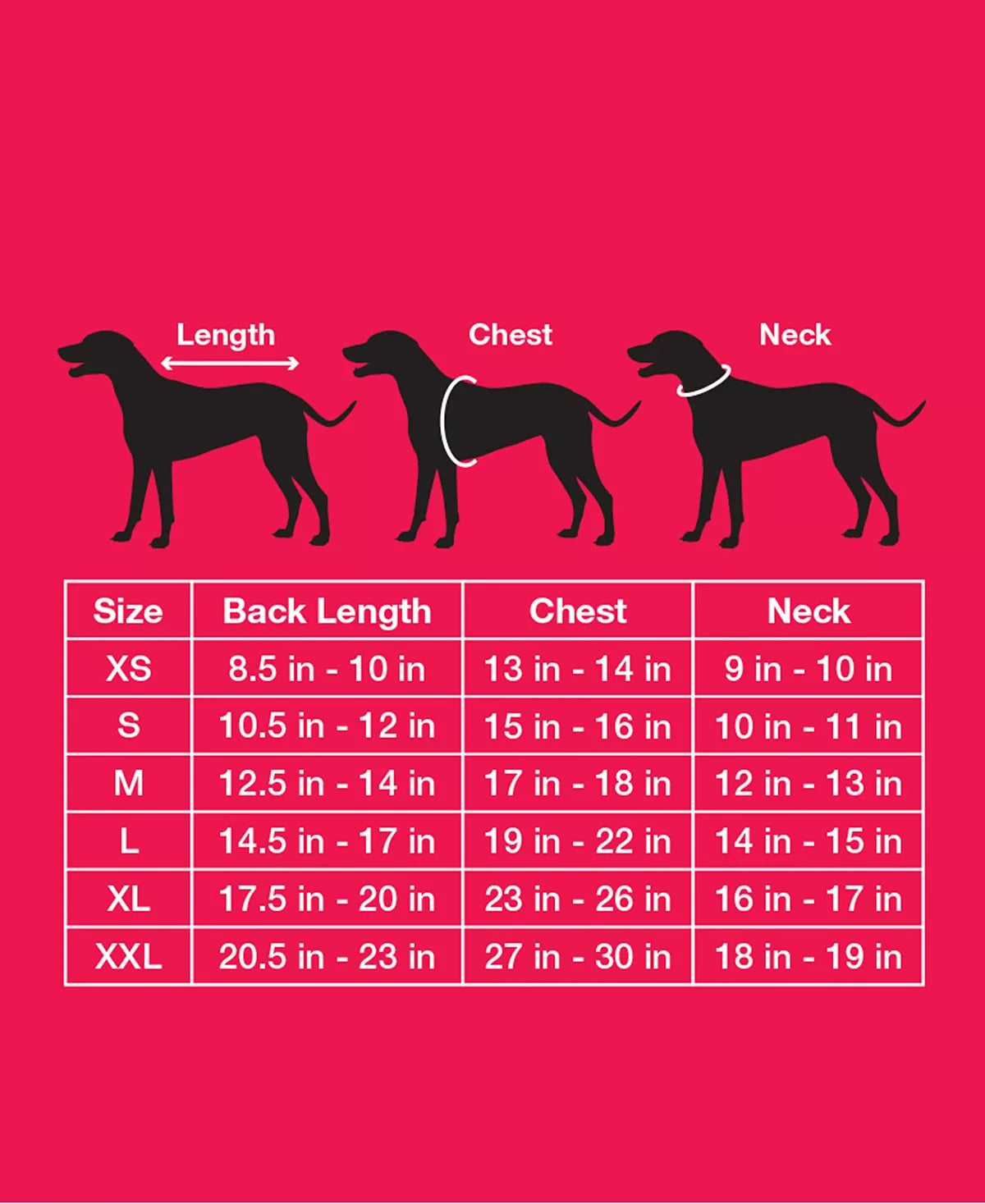 Charter Club Women's Check Print Dog Family Sweater White Size XX-Large