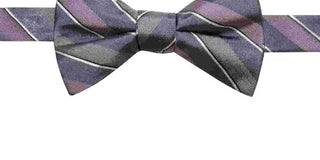 Ryan Seacrest Distinction Men's Matera Stripe Pre-Tied Bow Tie Gray/purple One Size