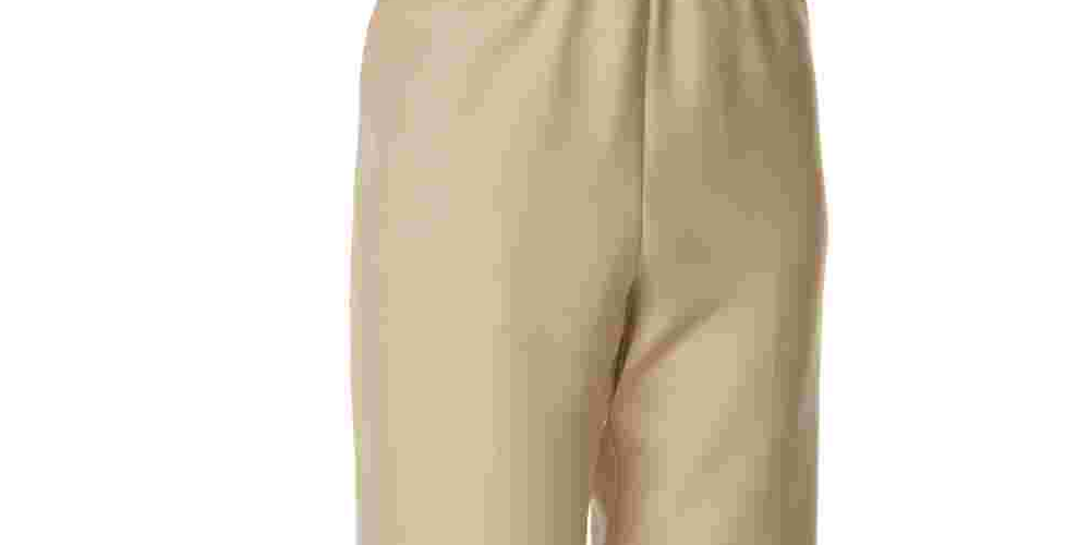 Alfred Dunner Women's Classics Pull-On Straight Leg Pants Brown Size 8-P