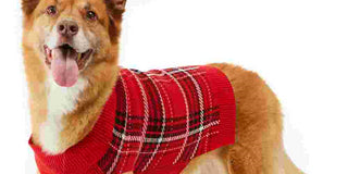 Charter Club Women's Herringbone Plaid Dog Sweater Red Size X-Small
