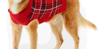 Charter Club Women's Herringbone Plaid Dog Sweater Red Size X-Small