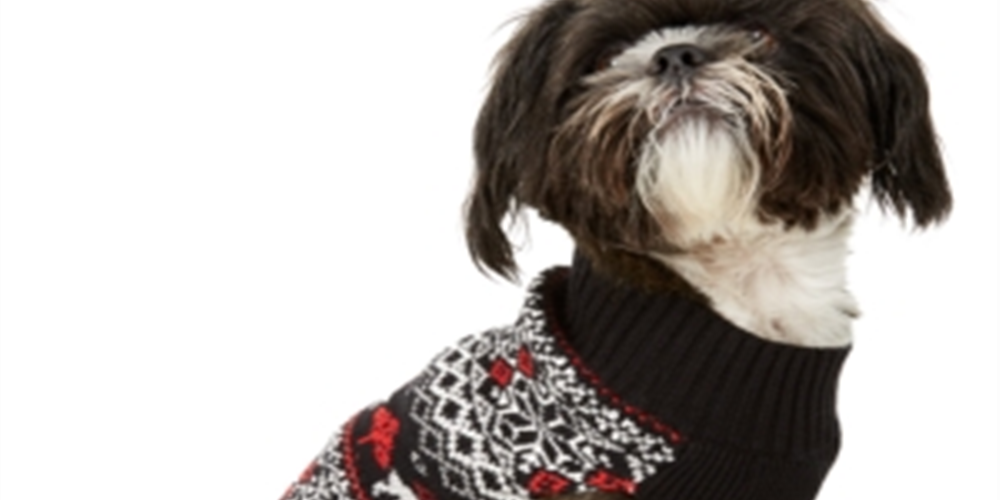 Charter Club Women's Fair Isle Dog Family Sweater Black Size XX-Large