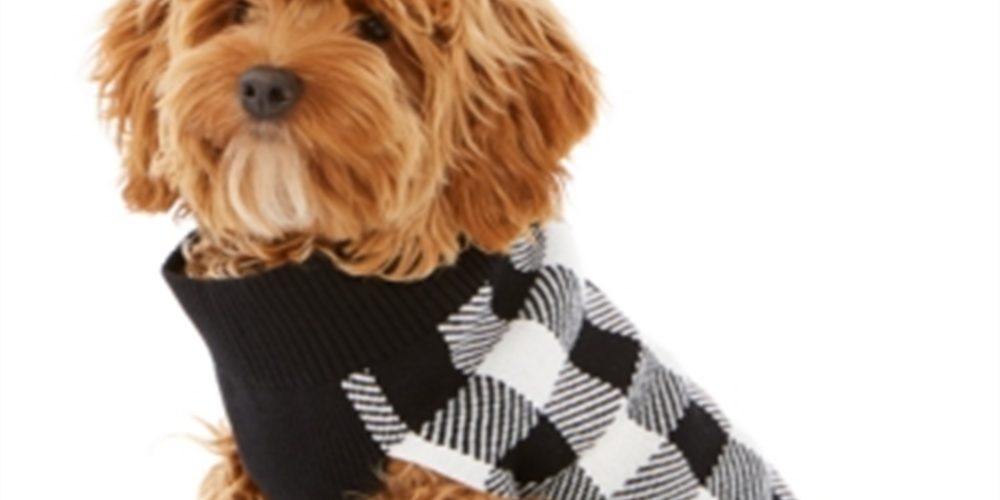 Charter Club Check-Print Dog Family Family Sweater  Natural Size M -