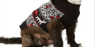 Charter Club Women's Fair-Isle Dog Family Family Sweater  Black Size Large