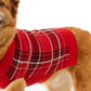 Charter Club Women's Plaid Dog Family Sweater Plaid Red Size Large