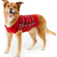 Charter Club Women's Plaid Dog Family Sweater Red Size Small