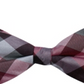 Ryan Seacrest Men's Pre Tied Bow Tie Purple Size One Size