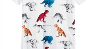 Epic Threads Little Boy's Dino T-Shirt White Size 5