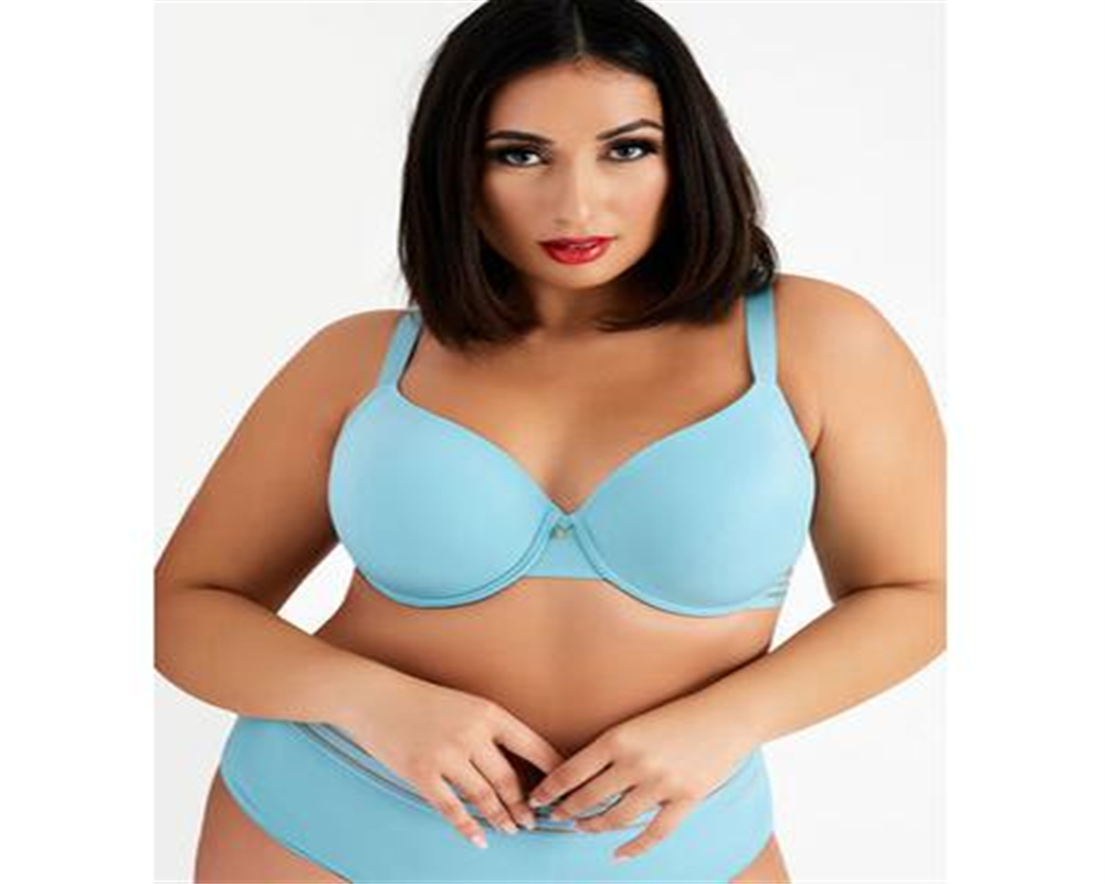 Mesh Trim Women's Microfiber T Shirt Bra Blue- Size 40 DDD