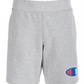 Champion Boy's French Terry Short Gray Size Small