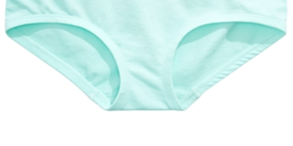 Maidenform Little & Big Girl's Seamless Hipster Underwear Blue Size Medium