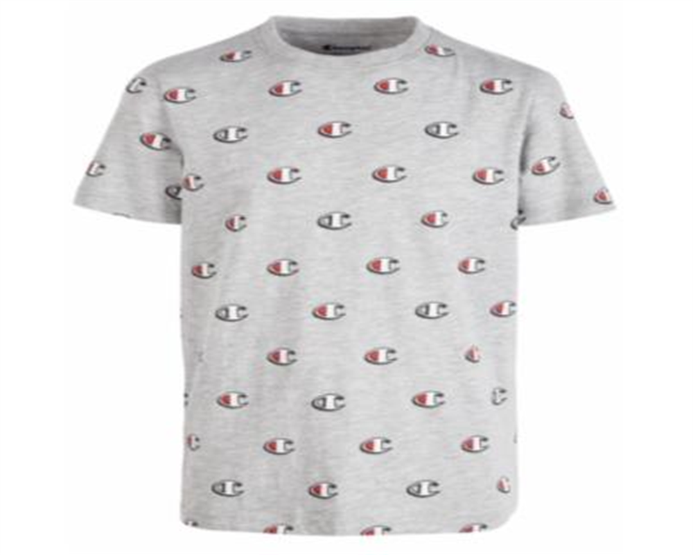 Champion Little Boy's Printed T-Shirt Gray Size 4