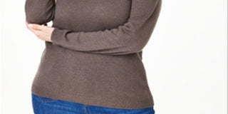 Charter Club Women's Solid Long Sleeve Sweater Brown Size 2X