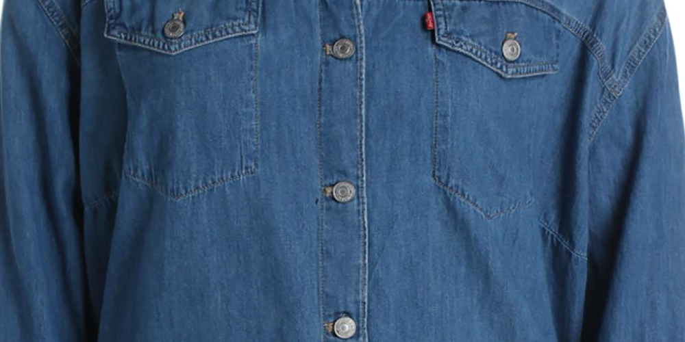 Levi's Women's Long Sleeve Collared Button up Top Blue Size 1X