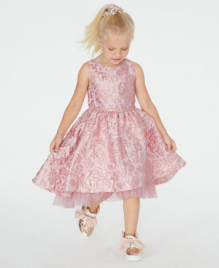 Rare Editions Little Girl's Brocade Fit & Flare Dress Pink Size 5