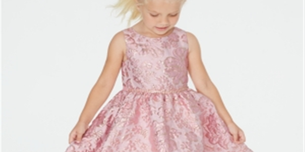 Rare Editions Little Girl's Brocade Fit & Flare Dress Pink Size 5