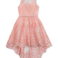 Rare Editions Big Girl's Lace Illusion Dress Pink Size 12