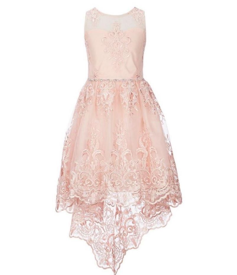 Rare Editions Big Girl's Lace Illusion Dress Pink Size 10