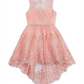 Rare Editions Big Girl's Lace Illusion Dress Pink Size 10
