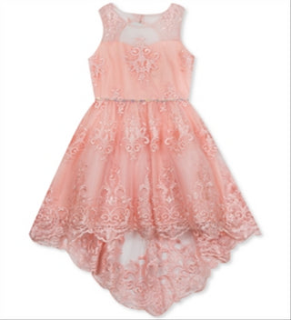 Rare Editions Big Girl's Lace Illusion Dress Pink Size 10