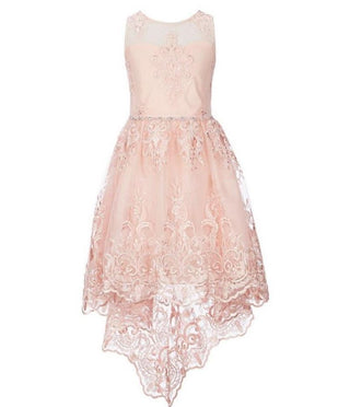 Rare Editions Big Girl's Lace Illusion Dress Pink Size 16