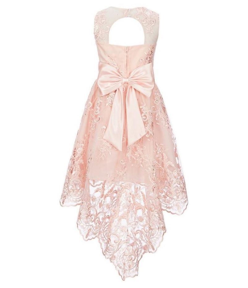 Rare Editions Big Girl's Lace Illusion Dress Pink Size 16