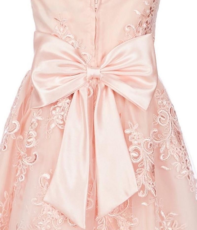 Rare Editions Big Girl's Lace Illusion Dress Pink Size 16