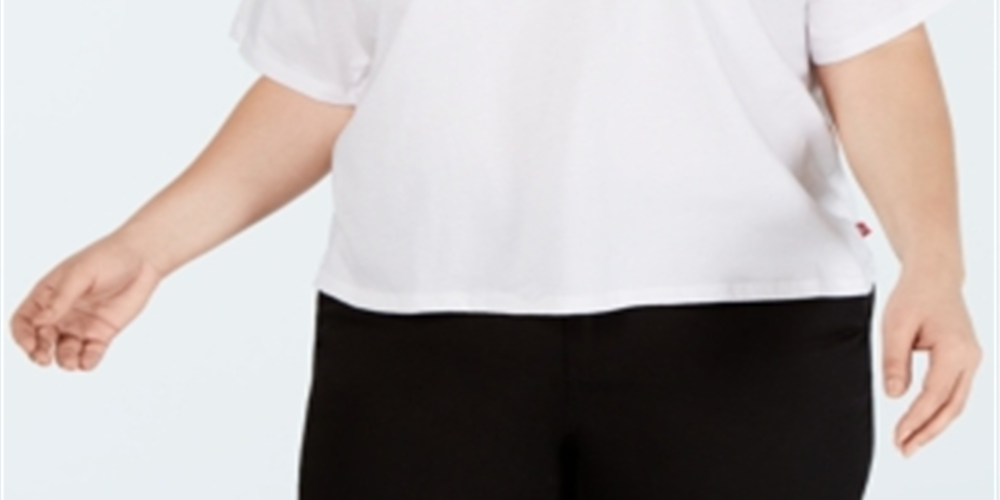 Dickies Women's Trendy Plus Logo Stripe Graphic T-Shirt White Size XXX-Large