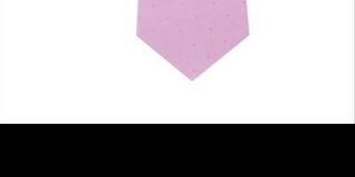 Calvin Klein Men's Silk Professional Neck Tie Pink Size Regular