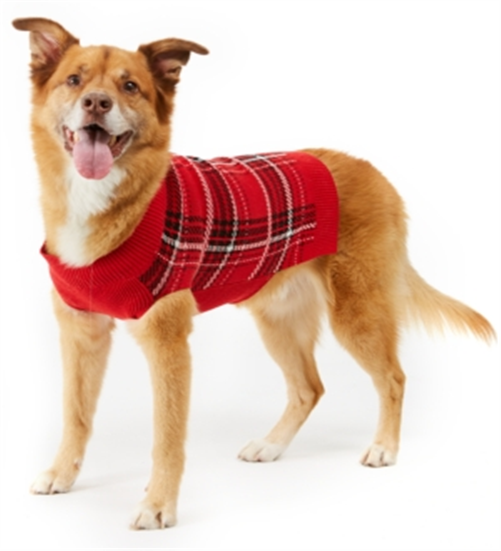 Charter Club Women's Plaid Dog Family Family Sweater Red Size X-Large