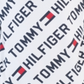 Tommy Hilfiger Big Boy's Jayden Fleece Logo Hoodie White Size S