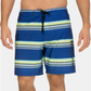 Hurley Men's Striped Board Shorts Blue Size -40