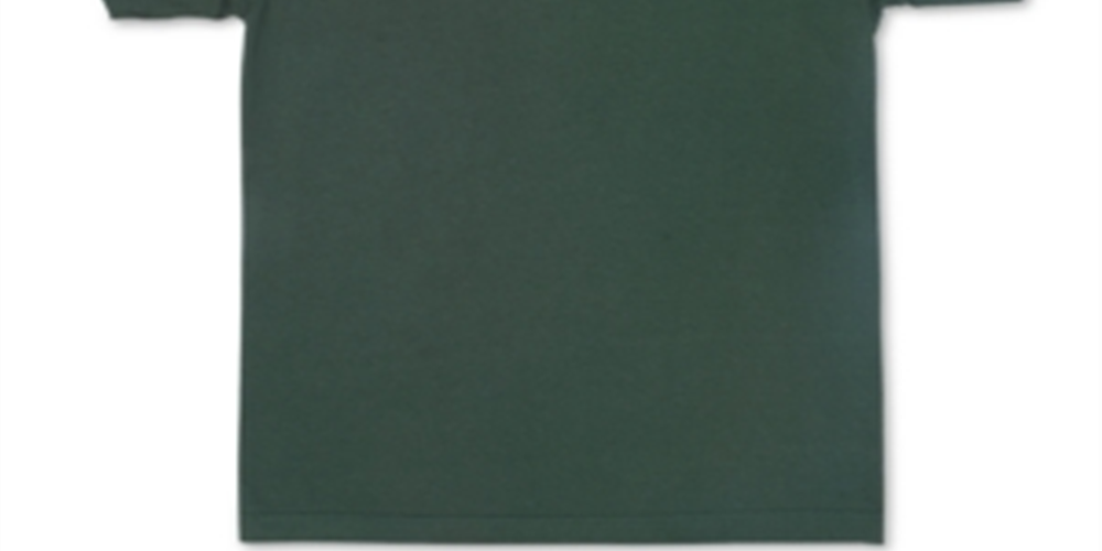 Lrg Men's Slanted Logo T-Shirt Green Size Medium