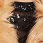 Vince Camuto Women's Shaggy Faux Fur Coat Brown Size XS