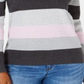 Karen Scott Women's Colorblocked V-Neck Cotton Sweater Purple Size 2XL