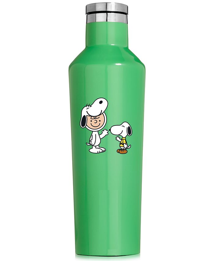 Peanuts Collection Snoopy & Charlie Brown 16-Oz. Green Stainless Steel Canteen One Size