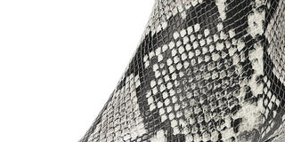 Circus By Sam Edelman Women's Kirby Short Pointed Toe Booties Black Size 5 M