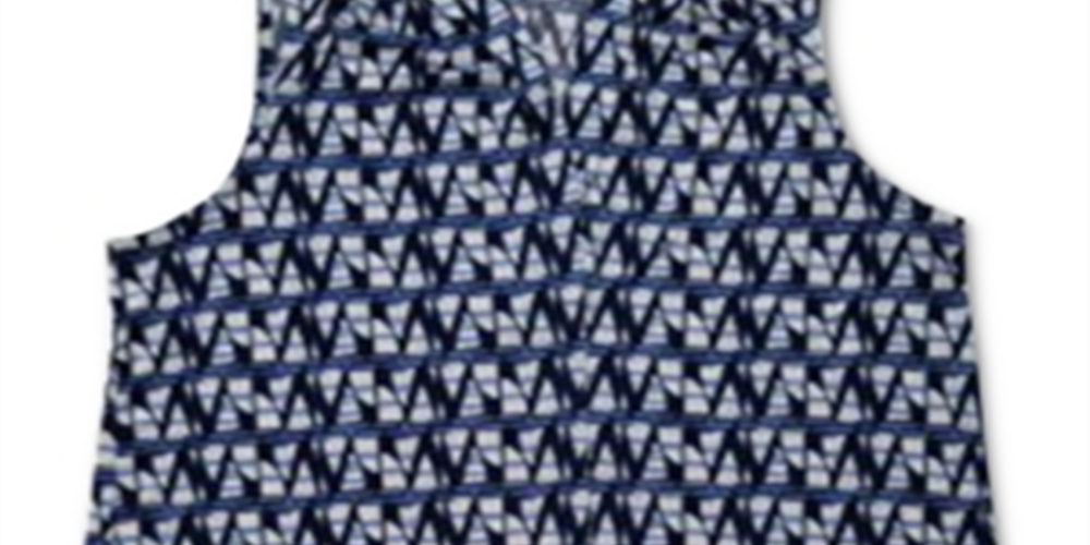 Charter Club Women's Printed V Neck Top Blue Size Large