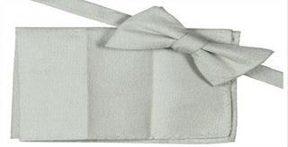 Alfani Men's Metallic 2PC Bow Tie Silver Size Regular