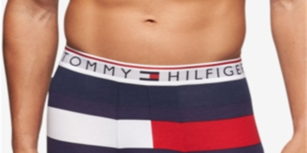 Tommy Hilfiger Men's Modern Cotton Boxer Brief Underwear Blue Size Large