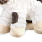 First Impressions Baby Boy's & Girls 8 Cow Plush Shirt Pink Size 2